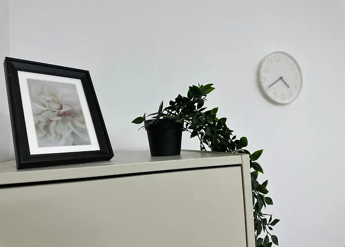 Bachelor Partition Room In Tecom Near Internet City Metro