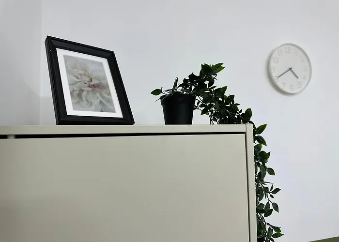 Bachelor Partition Room In Tecom Near Internet City Metro